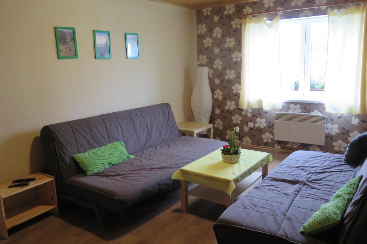 Apartments Skiareal U Vodarny Bedrichov Янов над Нисоу Екстериор снимка