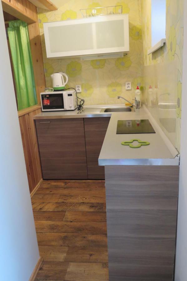 Apartments Skiareal U Vodarny Bedrichov Янов над Нисоу Екстериор снимка